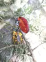 IMG_1790.webp